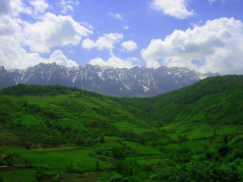 ۲ هکتار از جنگل پاچی سنگده ساری سوخت