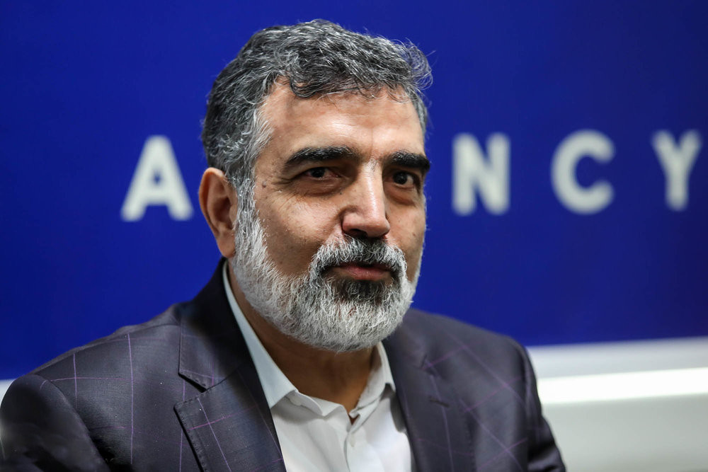 کمالوندی: مشکل ما با آژانس این است که هم به نعل می‌زند و هم به میخ!