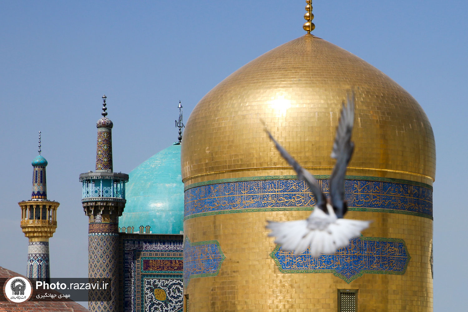 شاهدی در آسمان حرم