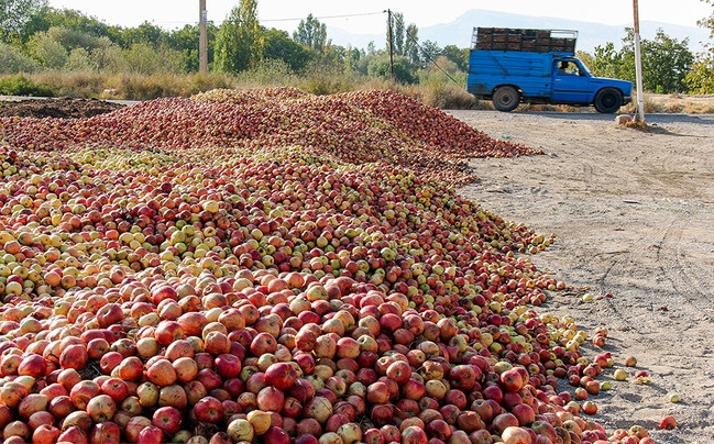بحران سیب؛ خطر فساد ۸۰۰ هزار تن سیب تولیدی باغداران آذربایجان غربی